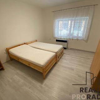 Pronájem bytu 2+1 54 m² Drahanovice, 