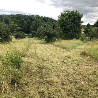 Prodej zemědělské usedlosti 150 m² Kleneč, Hlavní