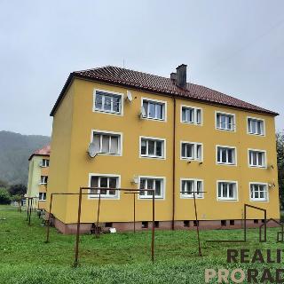 Prodej bytu 2+1 60 m² Jakubčovice nad Odrou, Dobešovská