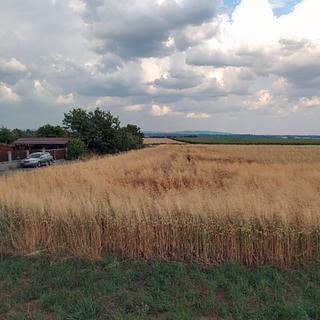 Prodej stavební parcely 600 m&sup2; Tršice