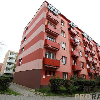 Prodej bytu 2+1 53 m² Břeclav, Fintajslova