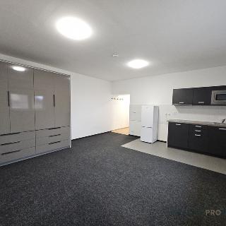 Pronájem bytu 1+kk a garsoniéry 37 m² Hodonín, Smetanova