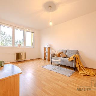 Pronájem bytu 1+1 37 m² Ostrava, Dr. Martínka