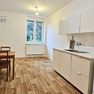 Pronájem bytu 3+kk 51 m² Brno, Kotkova