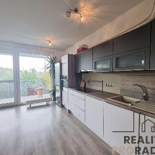 Pronájem bytu 2+kk 58 m² Praha, Bermanova