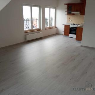 Pronájem bytu 2+kk 64 m² Braškov, V Podlískách