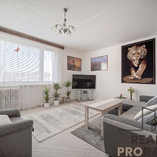 Prodej bytu 4+1 87 m² Skuteč, Družstevní