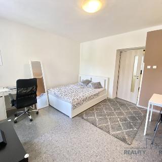 Pronájem bytu 1+kk a garsoniéry 28 m² Olomouc, Pavelčákova