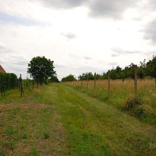 Prodej stavební parcely 1 960 m² Břeclav, 