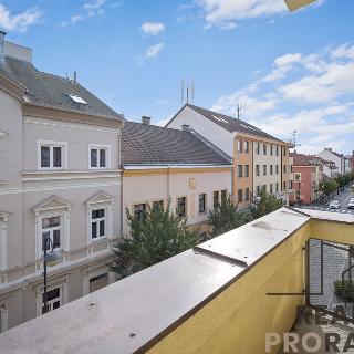 Pronájem bytu 2+kk 50 m² Pardubice, Smilova