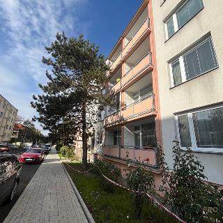 Prodej bytu 3+1 81 m² Teplice, Jugoslávská