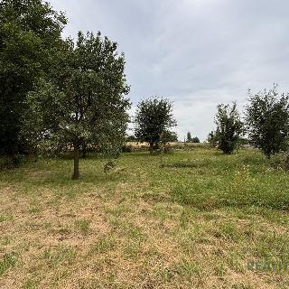 Prodej stavební parcely 618 m² Ivanovice na Hané, 