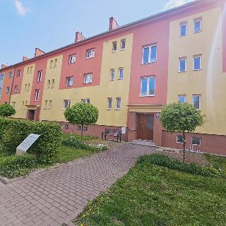 Pronájem bytu 2+1 56 m² Kyjov, Nerudova