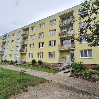 Prodej bytu 2+1 48 m² Ústí nad Labem, V Lukách