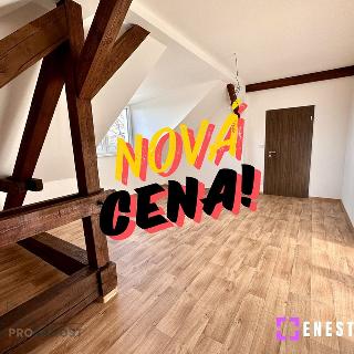 Prodej bytu 4+kk 164 m² Dobříč, 