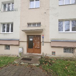 Prodej bytu 1+kk a garsoniéry 22 m² Teplice, Zrenjaninská