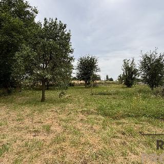 Prodej stavební parcely 618 m² Ivanovice na Hané, 