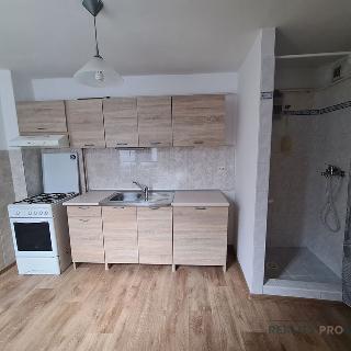 Prodej rodinného domu 42 m² Velké Bílovice, Pionýrská