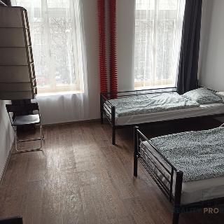 Pronájem ostatního komerčního prostoru 33 m² Zlaté Hory, 