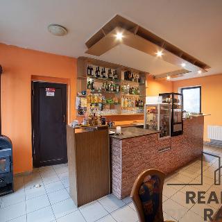 Prodej restaurace 196 m² Mikulášovice, 