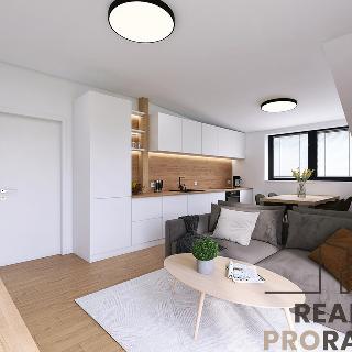 Prodej bytu 3+kk 60 m² Horní Planá