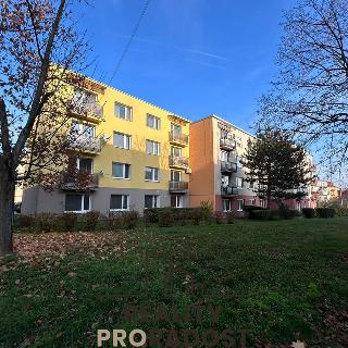 Pronájem bytu 1+kk a garsoniéry 21 m² Znojmo, Jindřicha Hořejšího