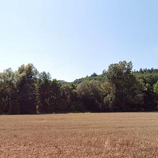 Prodej louky 4459 m&sup2; Traplice