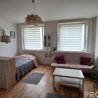 Prodej bytu 1+kk a garsoniéry 32 m² Teplice, Krušnohorská