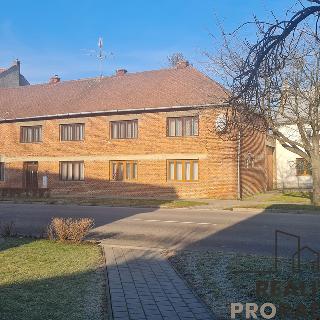 Prodej zemědělské usedlosti 320 m² Břest, 