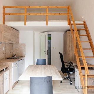 Pronájem bytu 1+kk a garsoniéry 15 m² Brno, Václavská