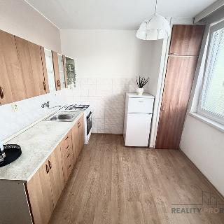 Pronájem bytu 1+1 44 m² Hodonín, nám. Osvobození