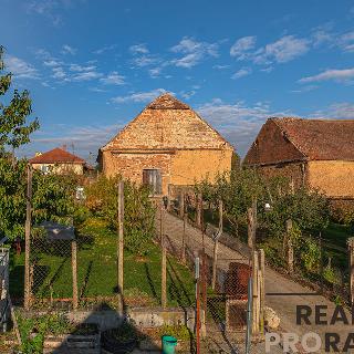 Prodej stavební parcely 600 m² Želetice, 