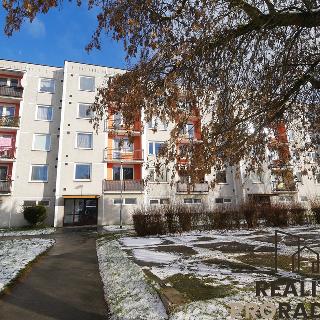 Prodej bytu 1+1 40 m² Hradec Králové, Sekaninova