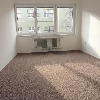 Pronájem bytu 2+1 50 m² Prostějov, Netušilova