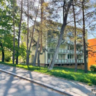Prodej bytu 4+kk 71 m² Brno