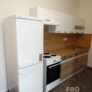 Pronájem bytu 1+kk a garsoniéry 32 m² Újezd u Brna, Štefánikova