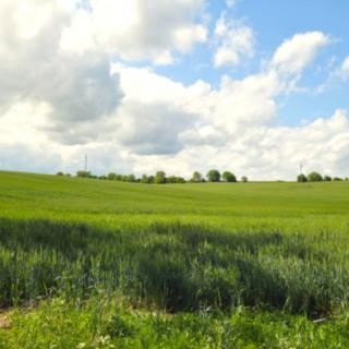 Prodej zemědělské půdy 2 649 m² Kyjov