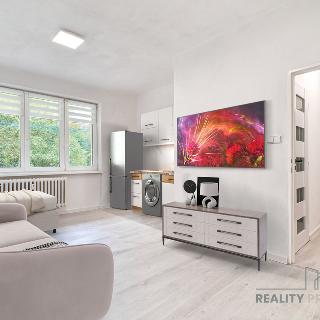 Prodej bytu 1+kk a garsoniéry 22 m² Karviná, U Lesa