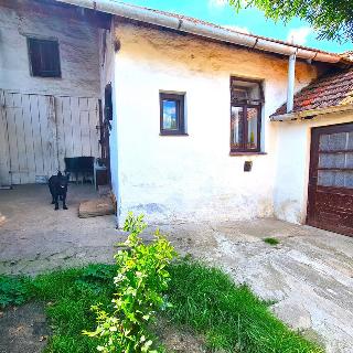 Prodej rodinného domu 55 m² Moravské Málkovice, 