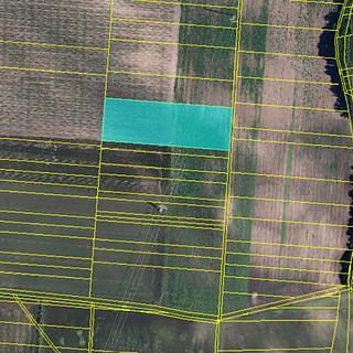 Prodej zemědělské půdy 2009 m&sup2; Moravský Žižkov