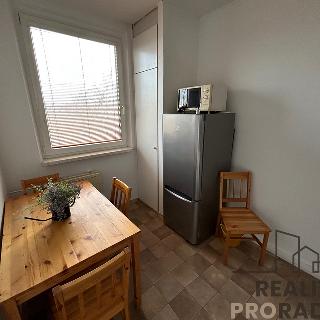 Pronájem bytu 2+1 46 m² Hodonín, Jižní