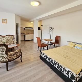 Pronájem bytu 1+kk a garsoniéry 29 m² Třebotov, Hlavní