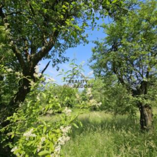 Prodej ostatního pozemku 4 253 m² Koryčany