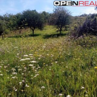 Prodej zahrady 3 563 m² Židlochovice, Nádražní