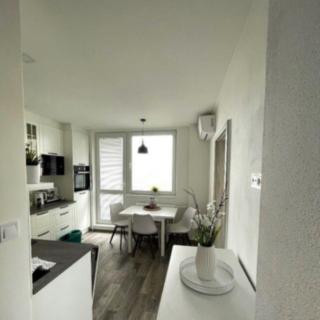Prodej bytu 1+1 32 m² Břeclav, J. Palacha