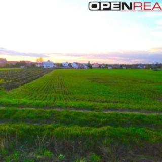 Prodej zemědělské půdy 1 458 m² Kobylnice, Na Budínku