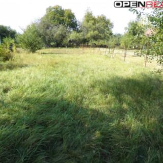 Prodej zahrady 738 m² Měrovice nad Hanou