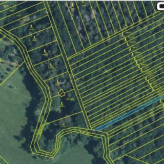 Prodej lesa 1 859 m² Kněždub