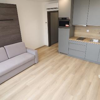 Pronájem bytu 1+kk a garsoniéry 26 m² Brno, Placzkova