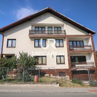 Prodej rodinného domu 376 m² Brno, Hoštická